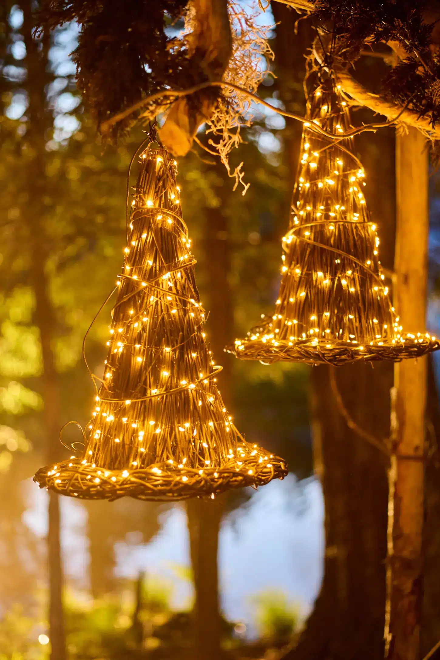 Terrain Illuminated Vine Witch Hat at Anthropologie