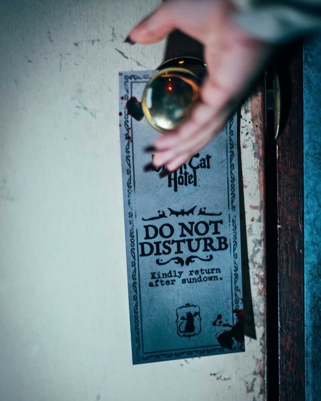 A hand hangs a Do Not Disturb tag from The Black Cat Hotel on a brass doorknob