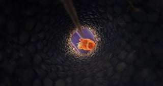 Looking down a dark stone shaft at Buddy, a bright orange unicorn, at the bottom