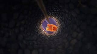 Looking down a dark stone shaft at Buddy, a bright orange unicorn, at the bottom