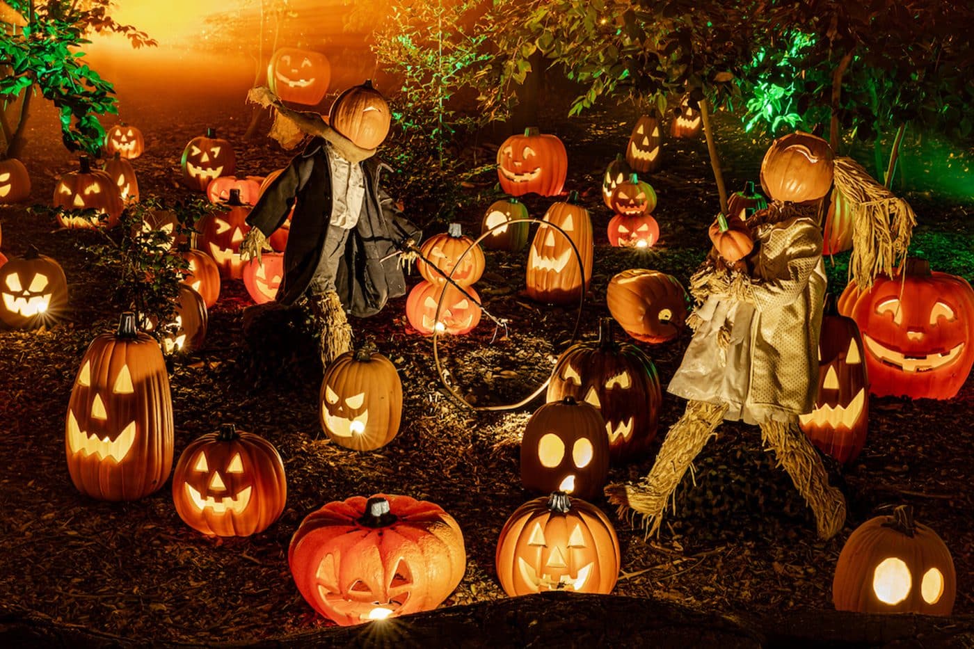 Glowing jack-o-lanterns at Carved at Descanso Gardens 2026
