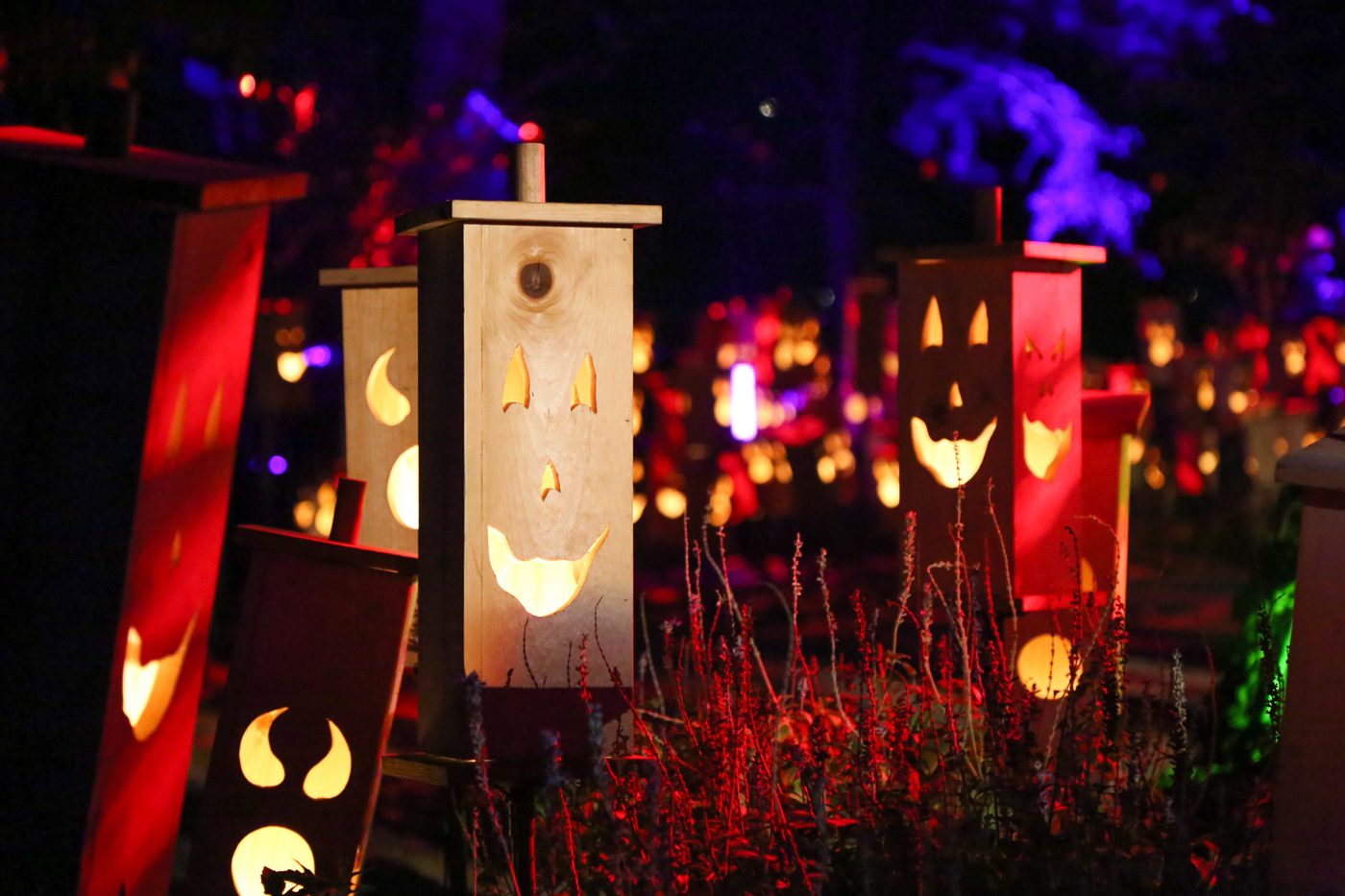 Illuminated art installation at Carved at Descanso Gardens 2026