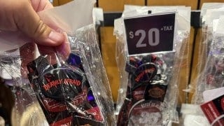 Deathly Afraid no-scare lanyard at HHN 35, $20