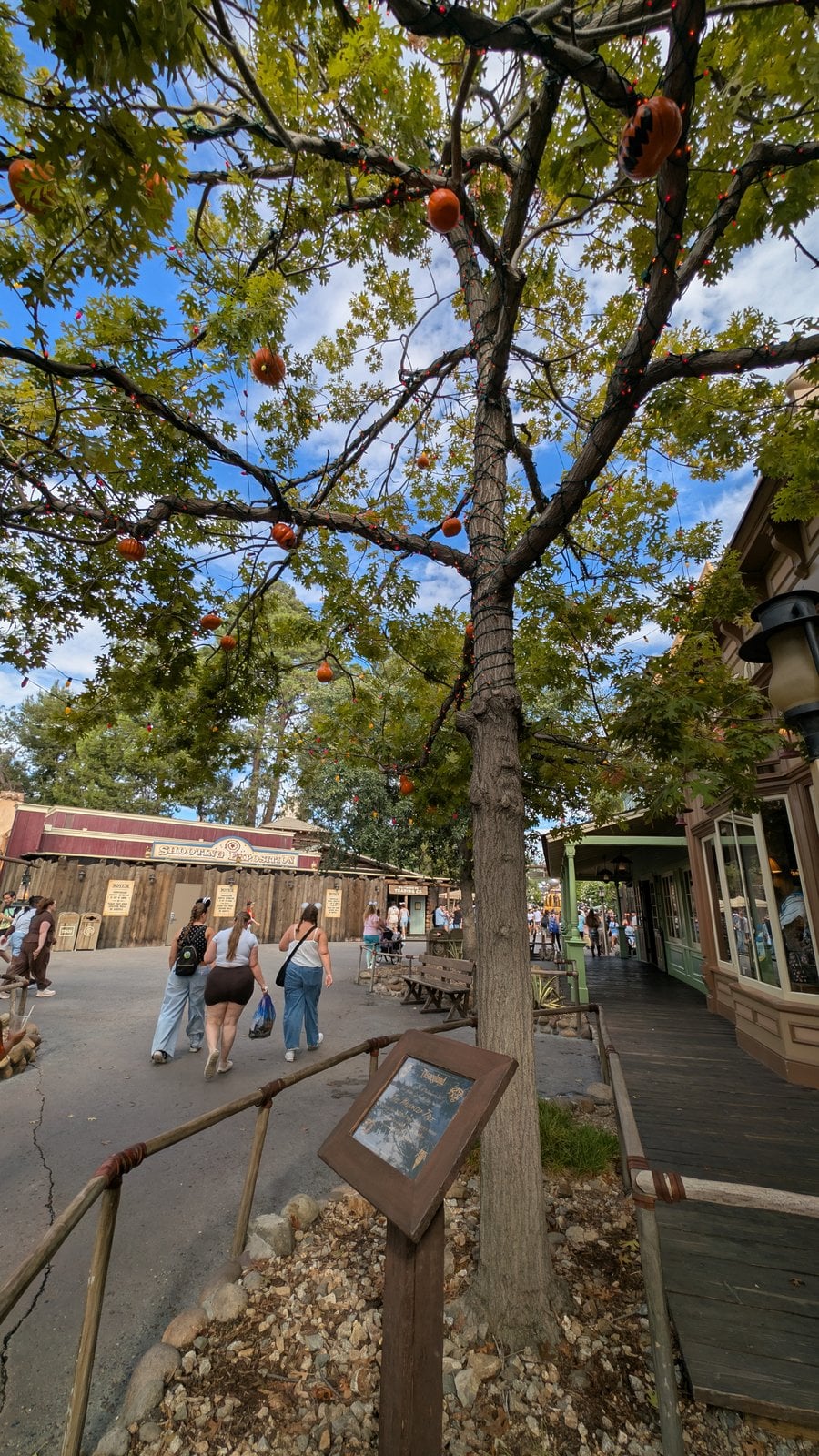The Halloween Tree in Frontierland hung with jack-o'-lanterns