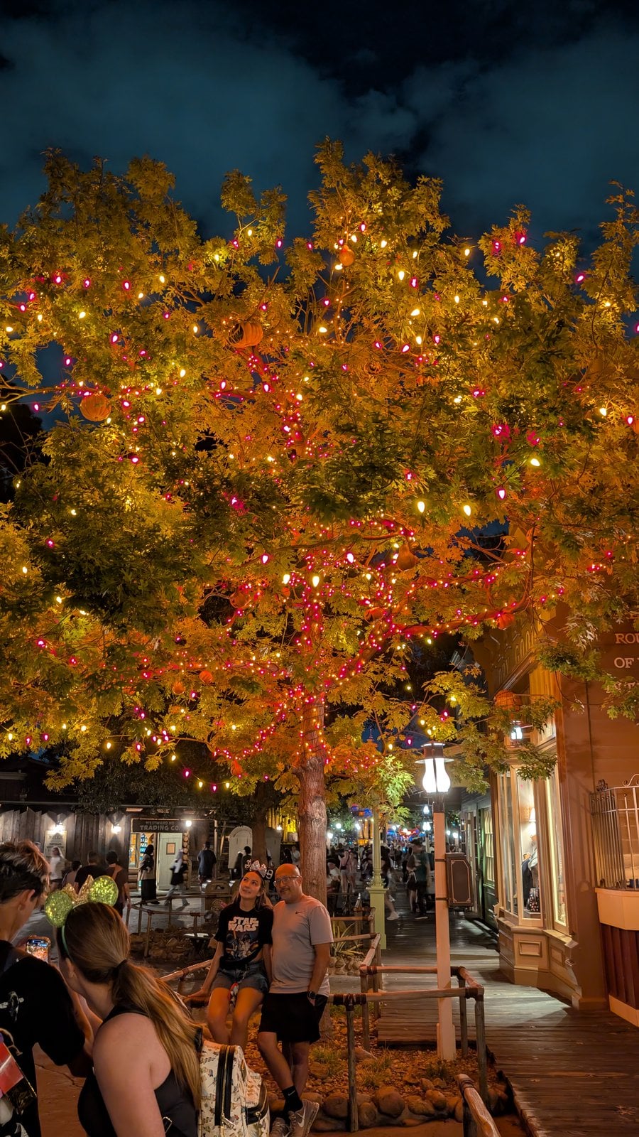 The Halloween Tree in Frontierland lit up at night during Halloween Time 2026