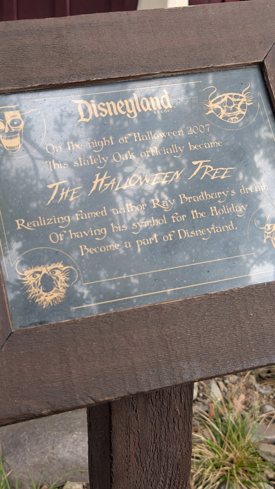 The Halloween Tree plaque at Disneyland dedicating the oak to Ray Bradbury on Halloween 2007