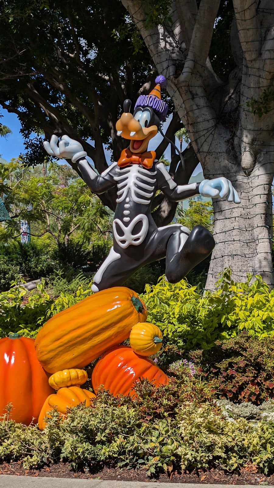 A Goofy figure in a skeleton costume above a pile of pumpkins at the Disneyland Resort