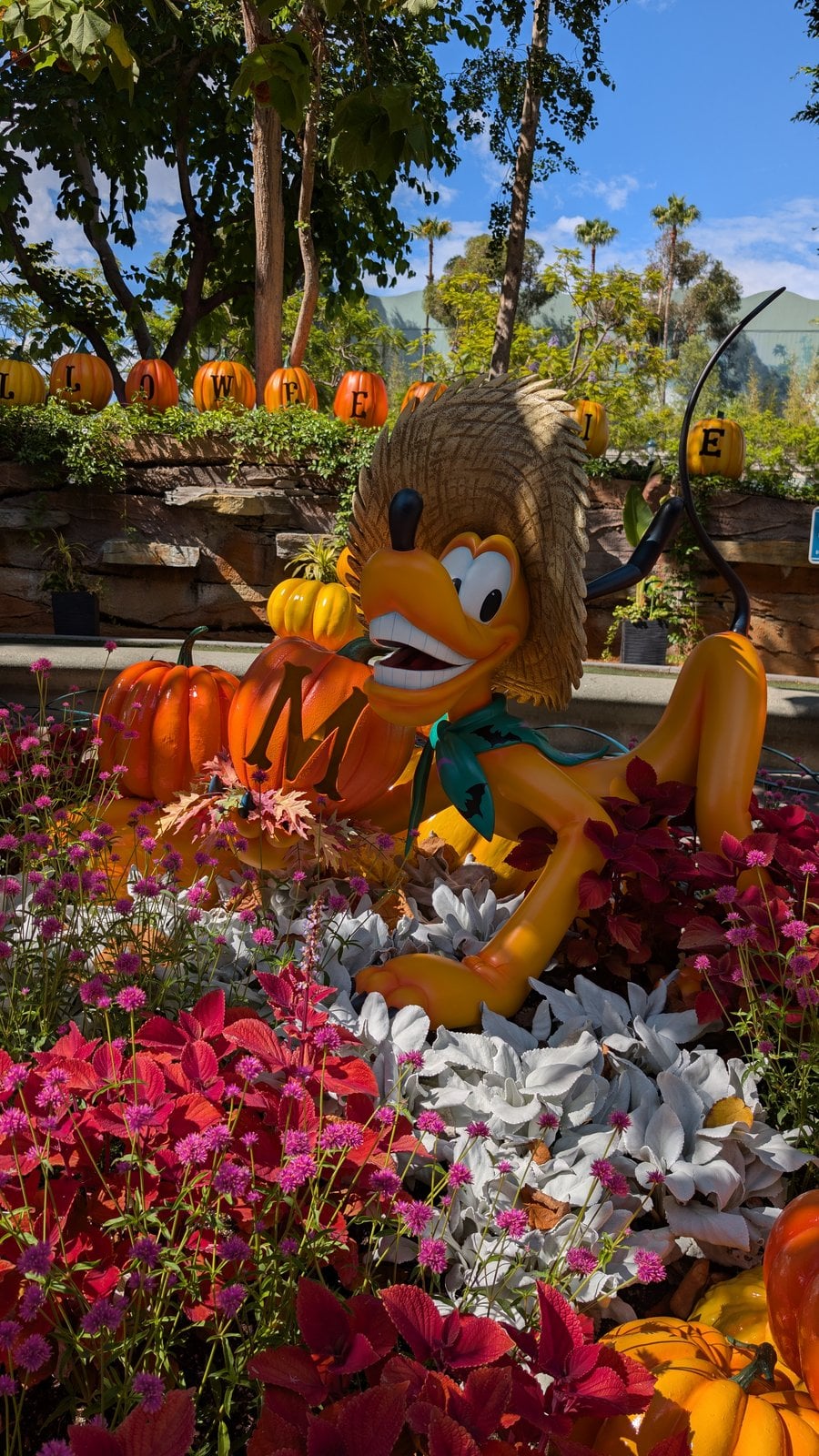 A Pluto figure in a straw hat among pumpkins and flowers at the Disneyland Resort