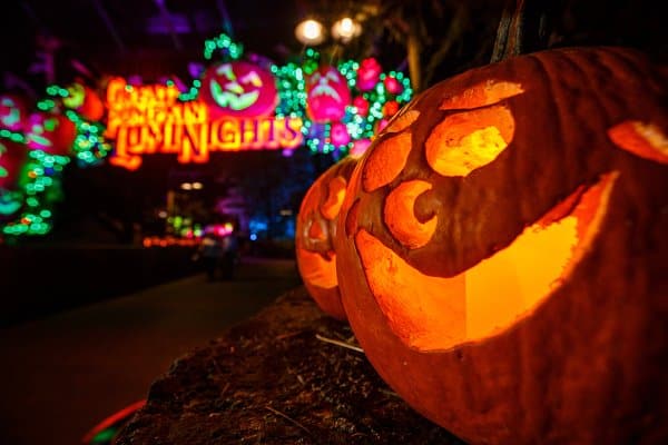 Carved pumpkins at Dollywood's Great Pumpkin LumiNights
