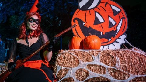 A costumed witch character at Creep It Real OC's Vintage Hometown Halloween, with pumpkins and a painted jack-o-lantern backdrop