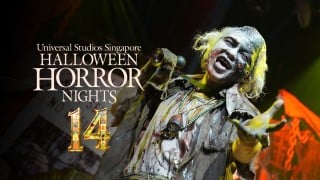 A performer in zombie makeup and a pale wig reaches toward the camera, beside the words Universal Studios Singapore Halloween Horror Nights 14