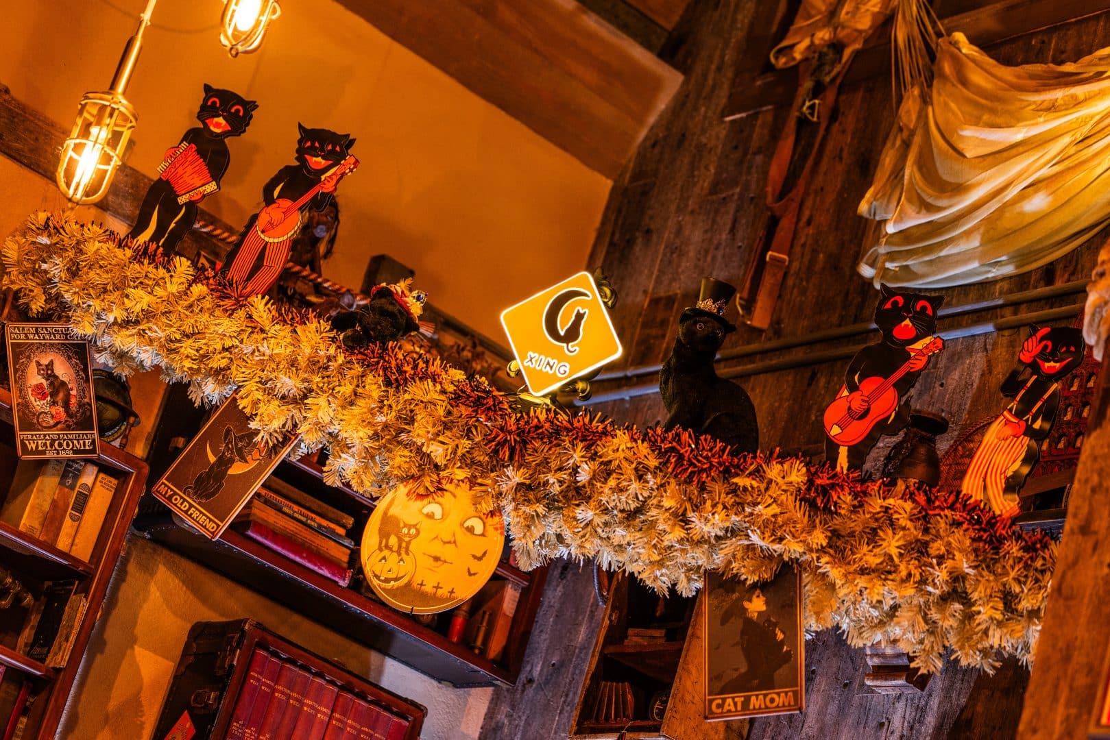 Vintage Beistle-style black cat decorations at Jock Lindsey's Hangar Bar