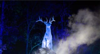 A glowing white stag Patronus stands on a rock among dark trees and drifting mist on the Forbidden Forest trail