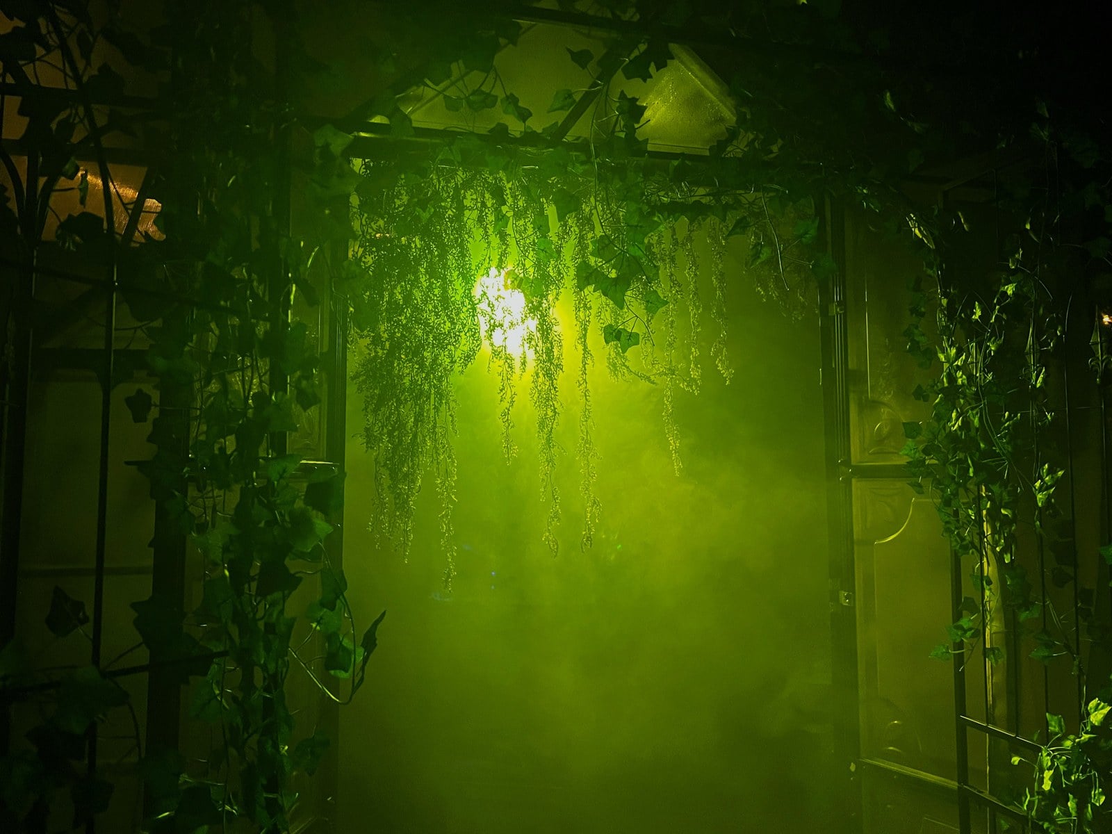 The Estate of Evil's enchanted garden room in green fog and hanging vines