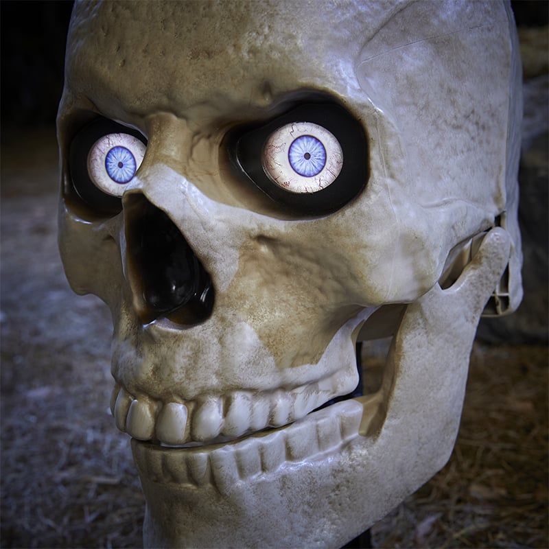 12 FT Giant-Sized SKELLY from Home Depot