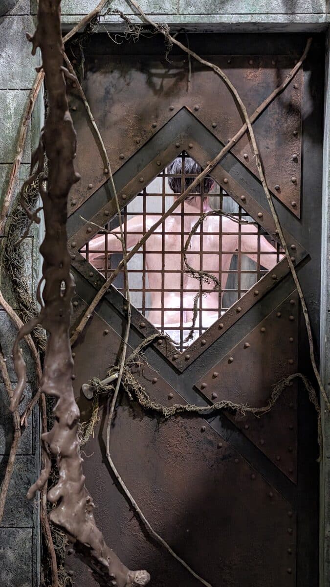 Wax and blood dripping over a diamond-lattice window in the Hellraiser house