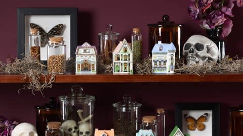 Lenox Spice Village Halloween porcelain spice jars styled as haunted Victorian houses displayed on shelves with skulls and apothecary jars