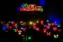 The Magic of the Jack O'Lanterns entrance lit by carved pumpkins at South Coast Botanic Garden