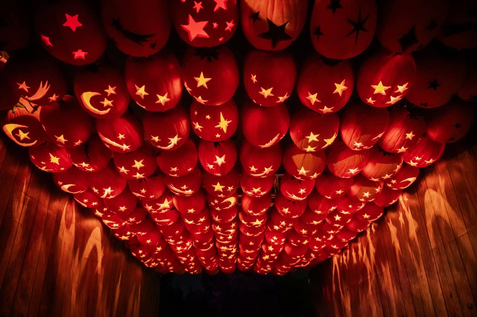 Carved pumpkin displays on the Magic of the Jack O'Lanterns trail