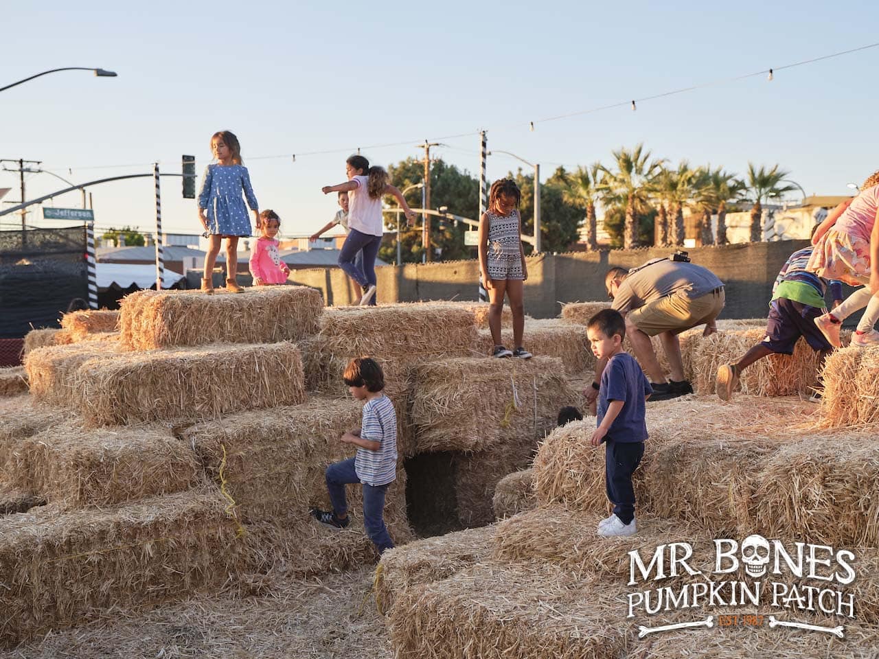 Children climb on top of a maze of straw bales on a sunny afternoon