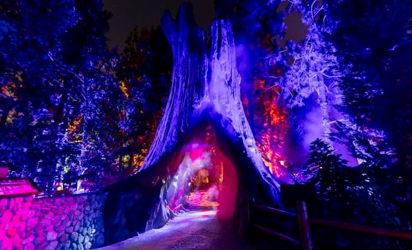 Oogie Boogie Bash at Disney California Adventure 2026
