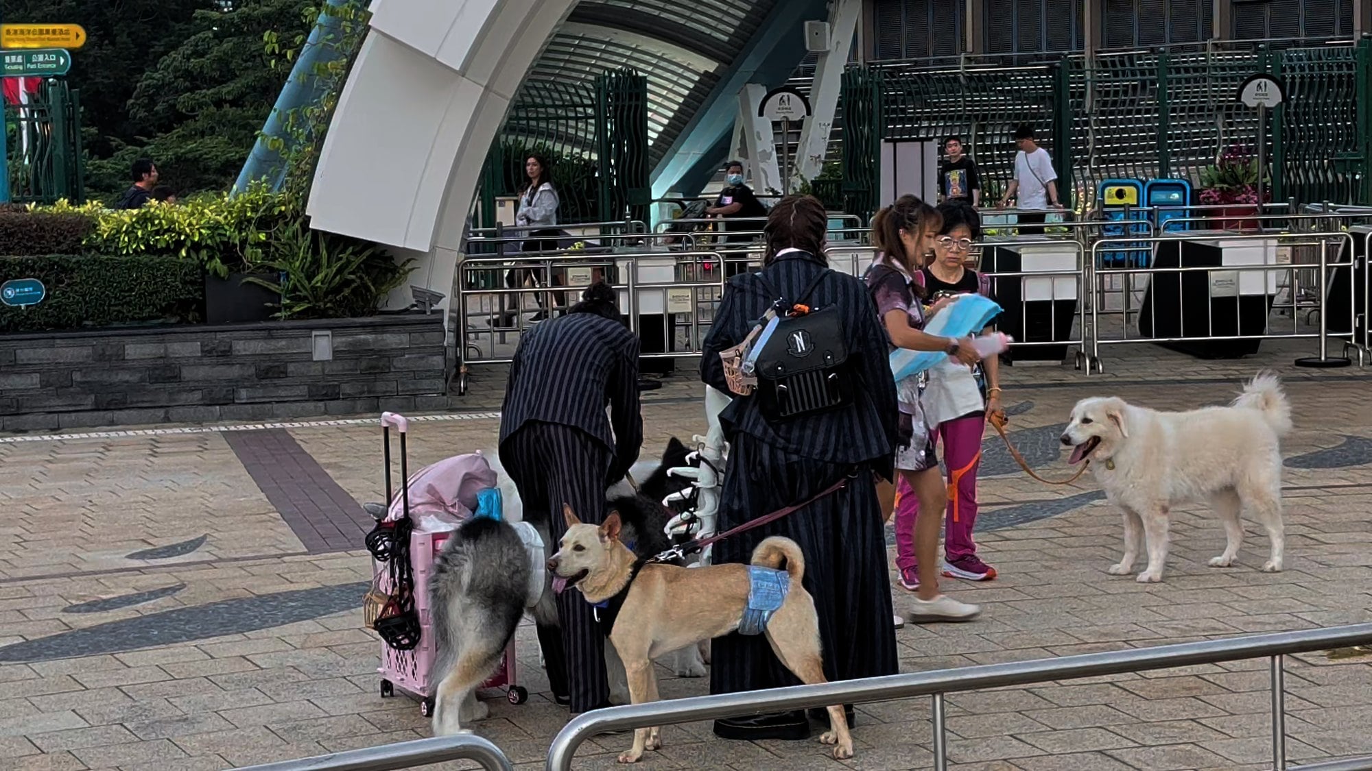 Guests walk their dogs on leashes across a plaza at Ocean Park Hong Kong