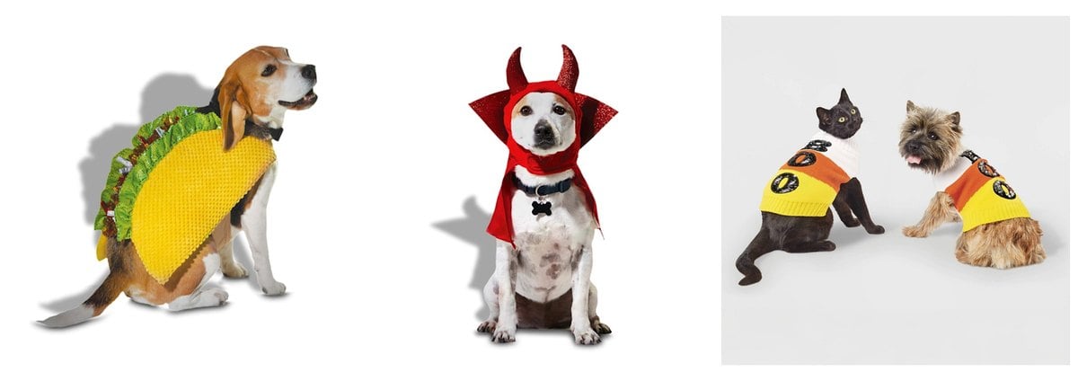 Petco taco dog costume devil headpiece and Target candy corn Boo pet sweater