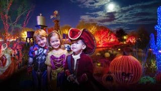 Three children in costumes, a superhero, a princess and a pirate, smile at night among glowing trees, a blue-lit cactus and a lit jack-o'-lantern at the Springs Preserve