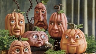 Grandin Road Expressive Pumpkins, a set of hand-sculpted pumpkins with detailed faces
