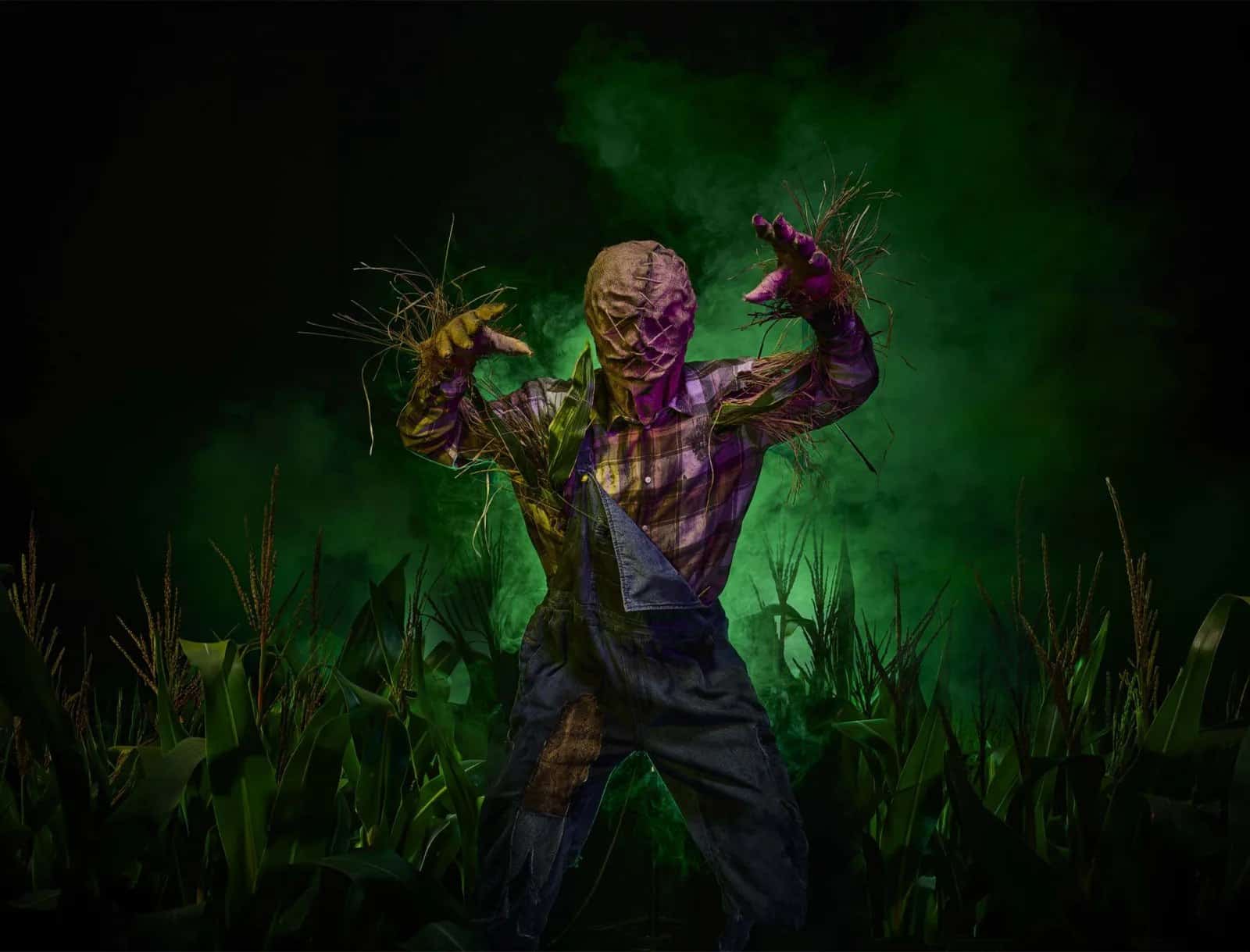 A scarecrow figure in the corn from Toverland's Entwined: The Maze key art