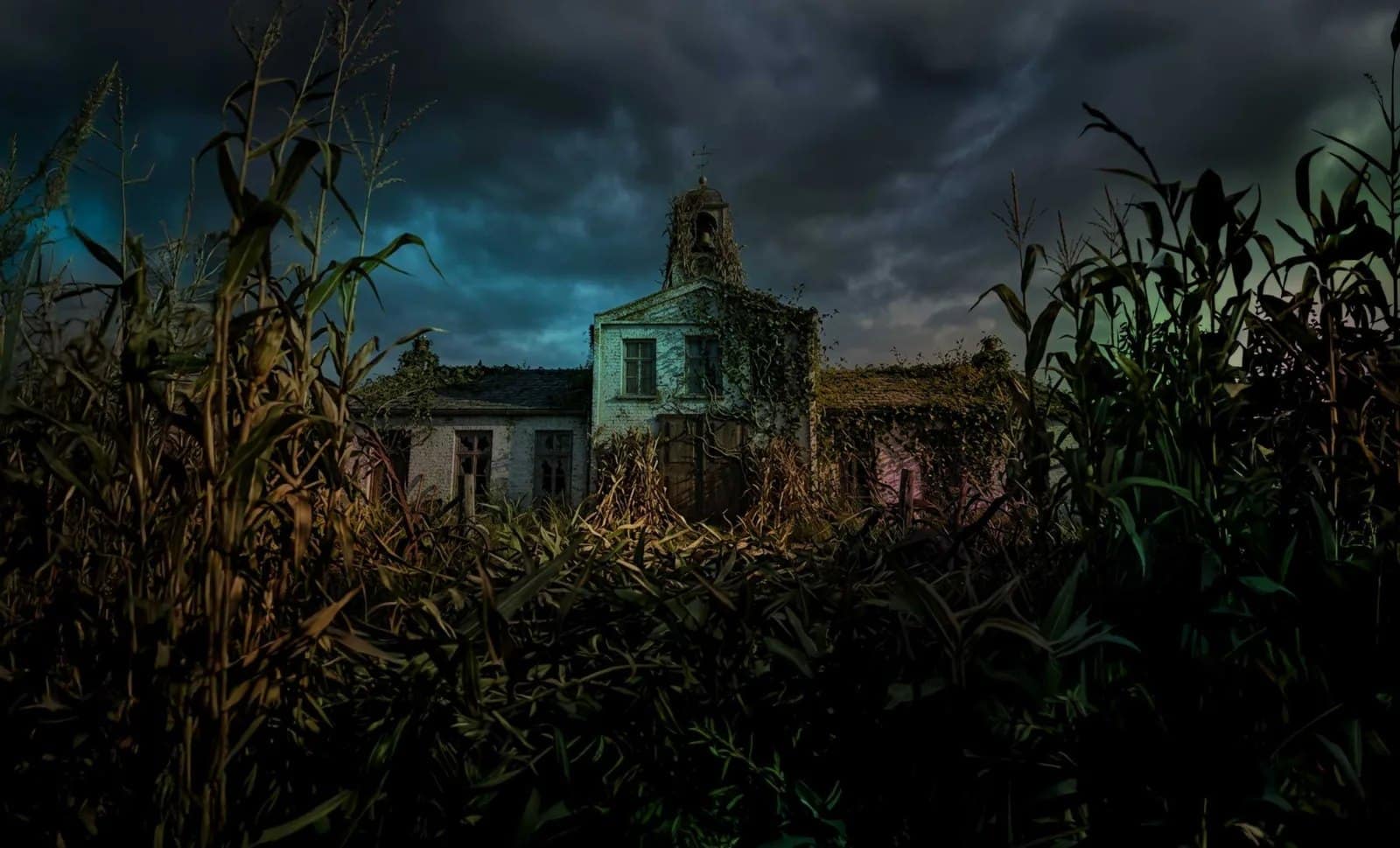 The abandoned village of Twine End inside Toverland's Entwined: The Maze corn field at Halloween Nights 2026