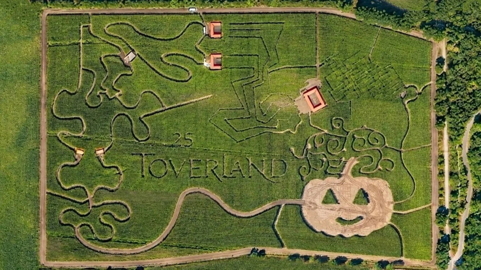 Drone view of Toverland's 7-hectare Entwined corn maze, with the Toverland logo, a 25 emblem, and a pumpkin shape cut into the corn