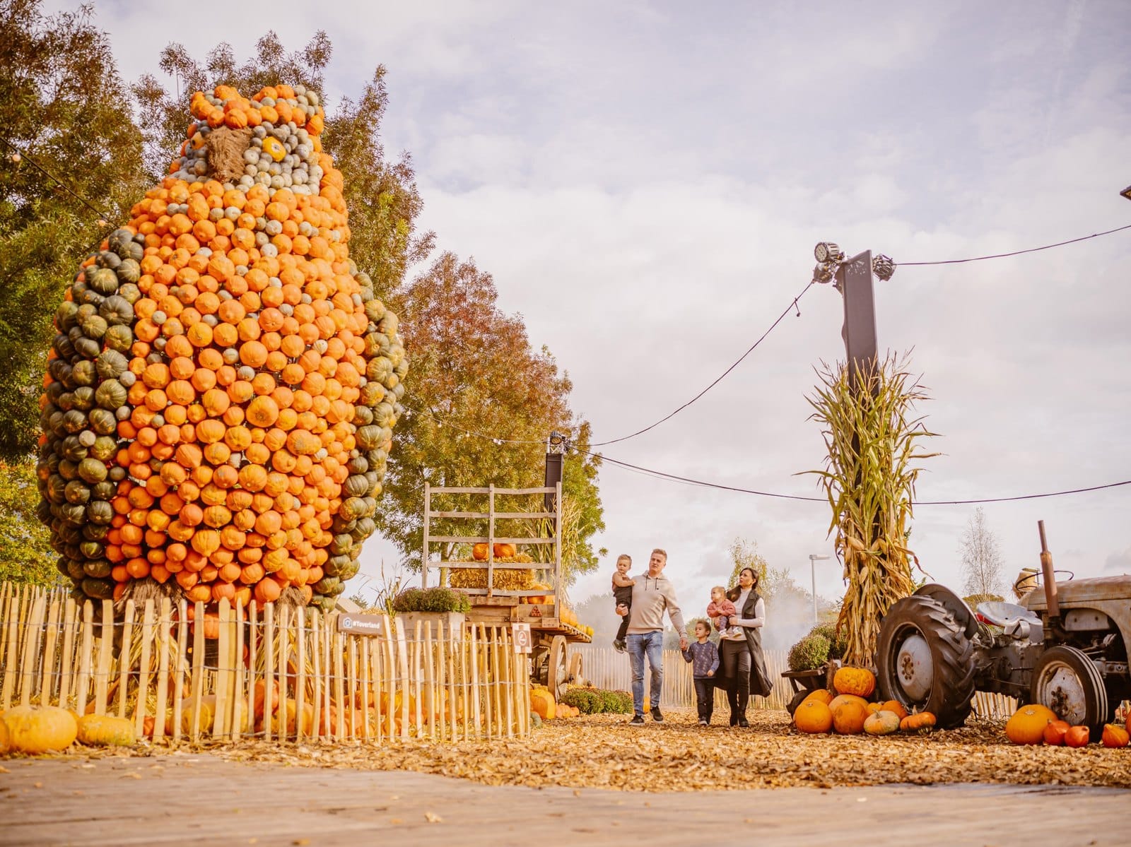 Thousands of pumpkins at Toverland's Pumpkin Farm during Halloween Days