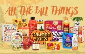 Trader Joe's official All the Fall Things 2026 lineup of fall and Halloween products