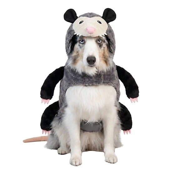 The Retriever Opossum Dog Costume