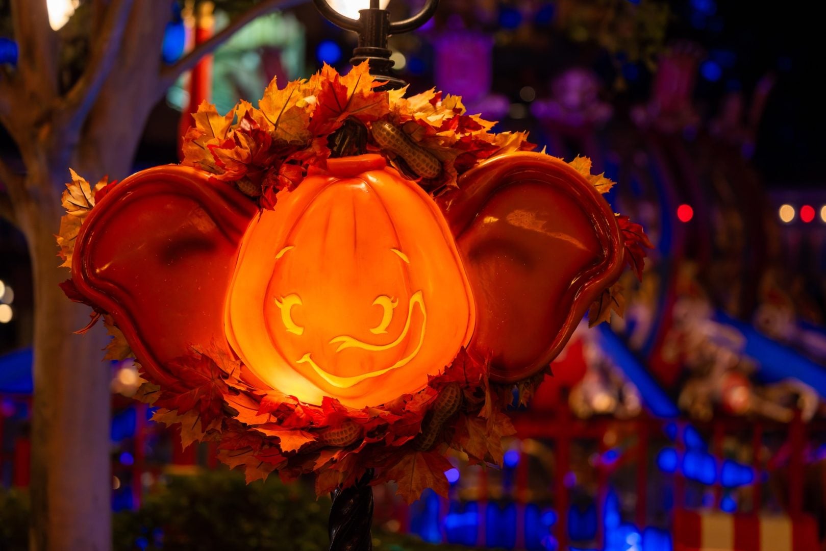 Dumbo-inspired pumpkins in Storybook Circus at Magic Kingdom