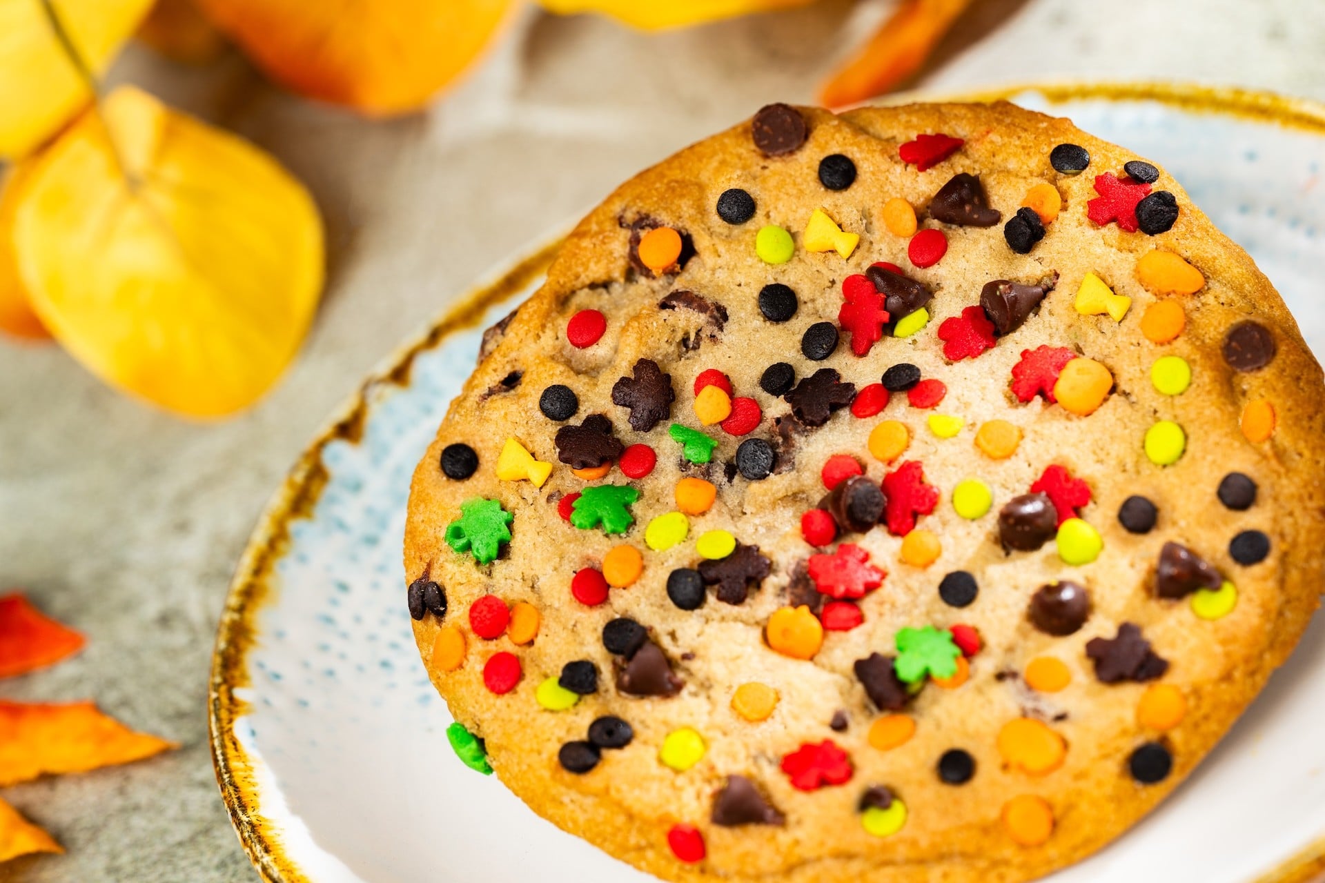 Fall Chocolate Chip Cookie with Halloween sprinkles